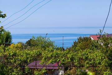 Фотографии Гостевой дом Guest House U Larisy г. Цандрыпш (Абхазия) №1 Фото Гостевой дом Guest House U Larisy г. Цандрыпш 1