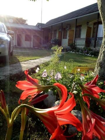 Фотографии Отель Guest House DANIEL г. Цандрыпш (Абхазия) №3 Фото Отель Guest House DANIEL г. Цандрыпш 3