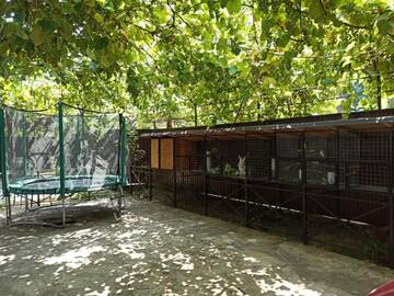 Фотографии Гостевой дом Valentina Guest House г. Цандрыпш (Абхазия) №2 Фото Гостевой дом Valentina Guest House г. Цандрыпш 2