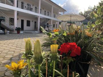 Фотографии Гостевой дом Mini Hotel Platan г. Цандрыпш (Абхазия) №1 Фото Гостевой дом Mini Hotel Platan г. Цандрыпш 1