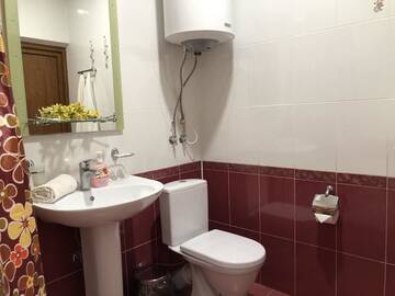 Фото номера Люкс с 1 спальней Гостевой дом Mini Hotel Platan г. Цандрыпш 9