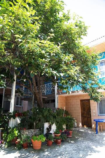Фото номера Трехместный номер с балконом Гостевой дом Mila Guest House г. Цандрыпш 2